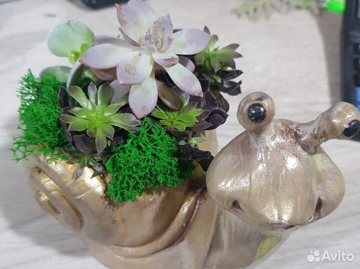 Кашпо из бетона и гипса улитка