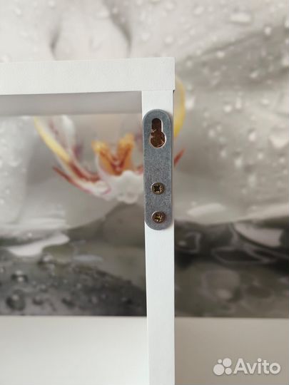 Полка мебельная фирма Династия