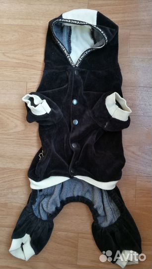 Одежда для мопса