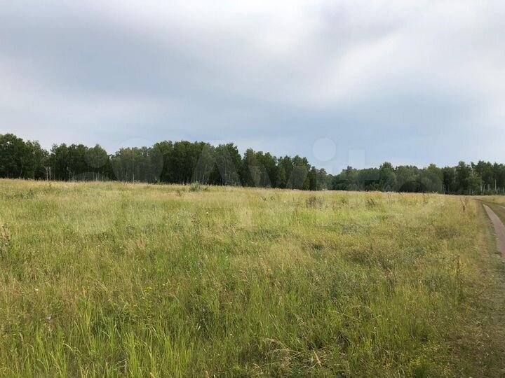 Участок 16 га (промназначения)