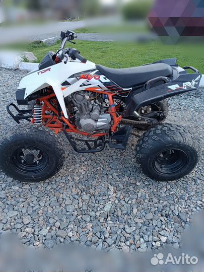 Kayo TOR 250
