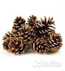 Шишки для декора и поделок