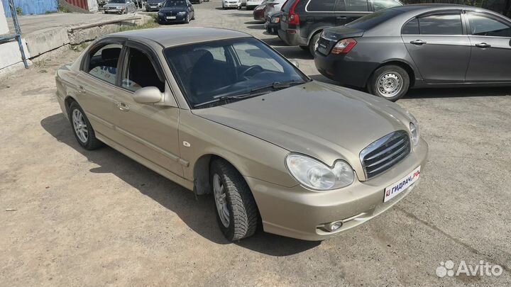 Стекло двери задней правой Hyundai Sonata (EF) 834