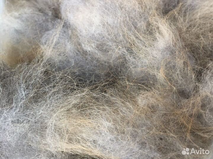 Собачья шерсть