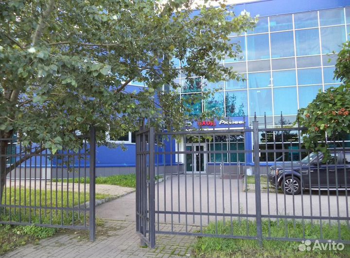 Стекло фары птф левое Nissan Primera P11 96