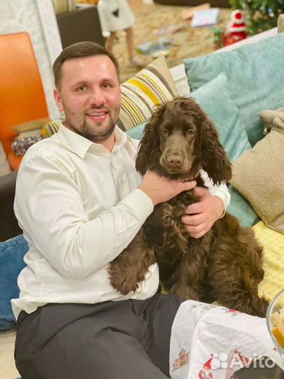 Грузоперевозки по городу и области