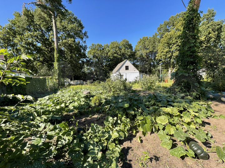 Участок 11 сот. (ИЖС)