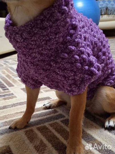 Вязаные вещи для собак