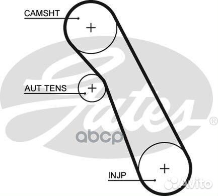 40971x20 HSN Ремень грм 5541XS Gates