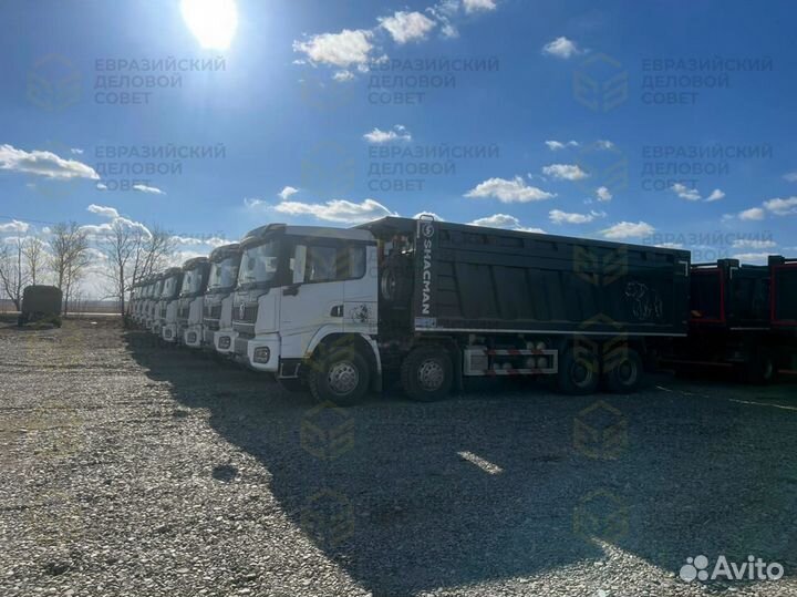 Shacman (Shaanxi) SX33186V366, 2023