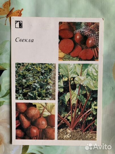 Набор открыток для садовода 1980-х годов - 30 штук