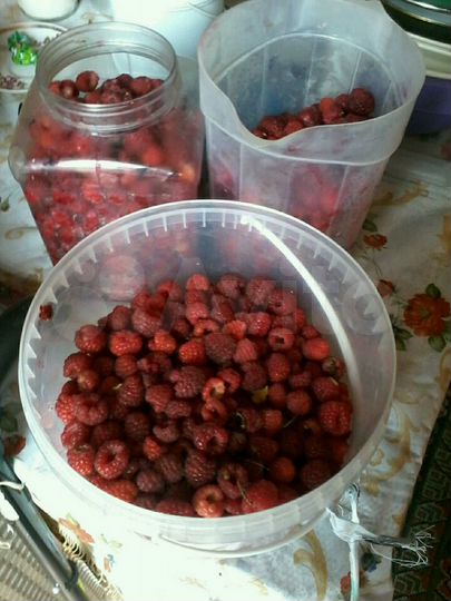 Участок 10,73 га (СНТ, ДНП)