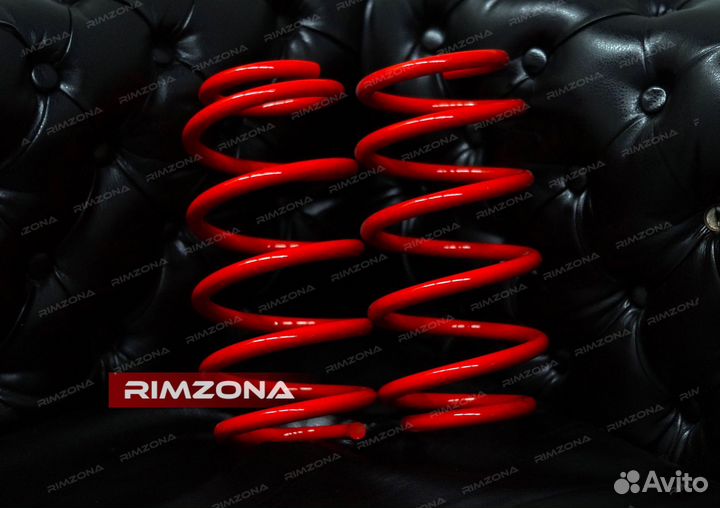 Пружины с занижением -30 на Rio 3