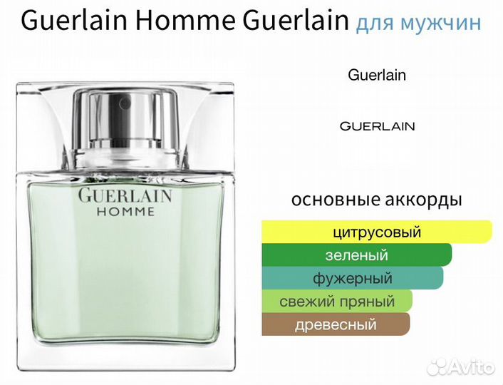 Guerlain Homme