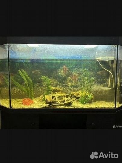 Аквариум с тумбой 200 литров