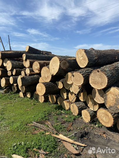 Разнорабочие в лес