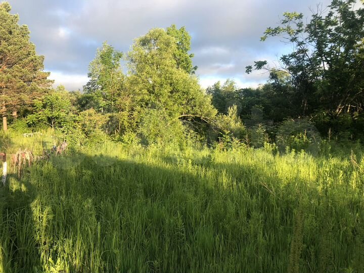 Участок 1,23 га (ИЖС)