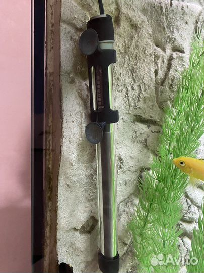 Аквариум 200 литров с тумбой