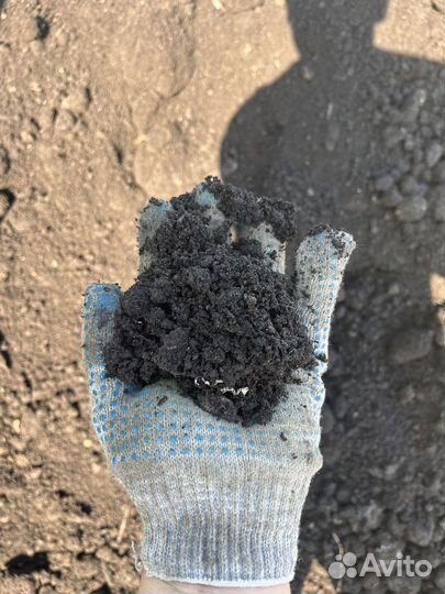 Чернозем торф грунт