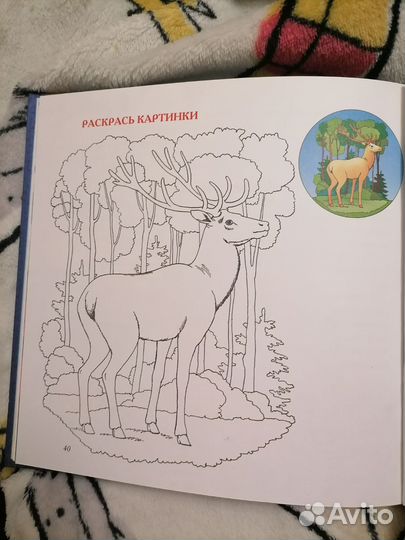 Снежная королева. Сказка, раскраска и задания