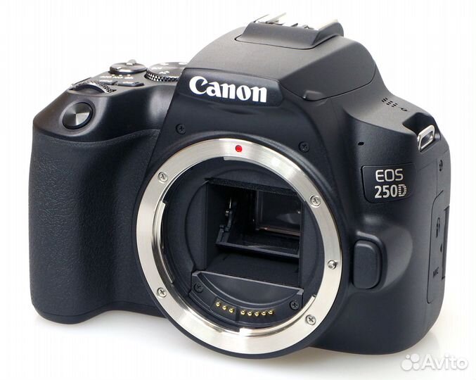 Canon EOS 250D Kit 18-55mm IS STM б/у