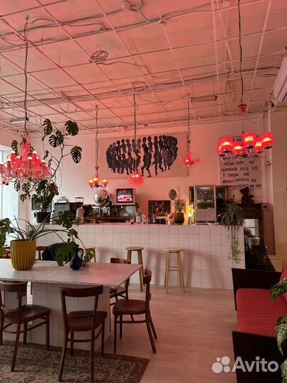 Аренда под мероприятия