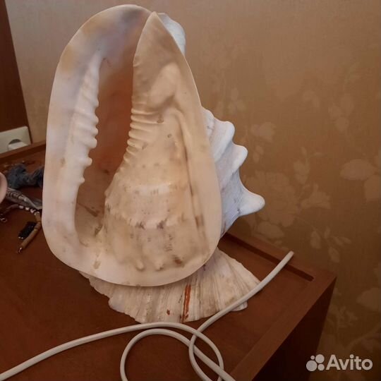 Светильник ракушка