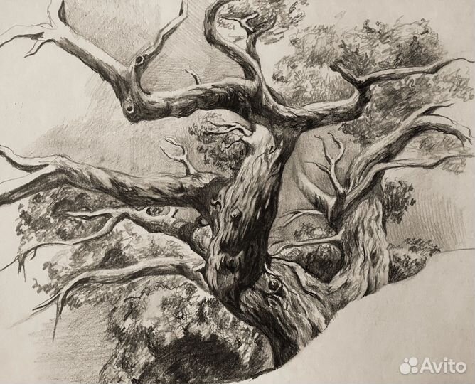 Художник, портрет по фото, картины