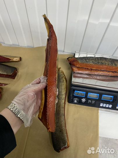 Теша кеты и нерки