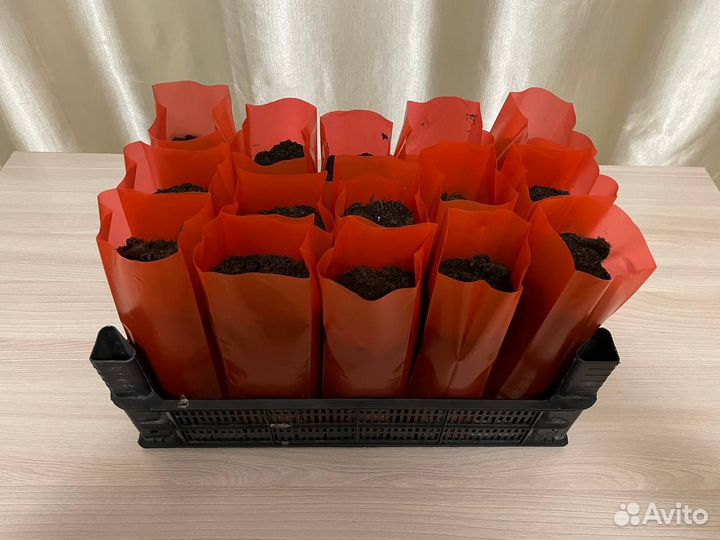 Пакеты для рассады 1 литр