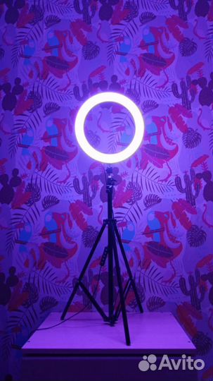 Кольцевая лампа, без штатива
