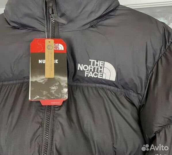 Куртка демисезонная The North Face 700