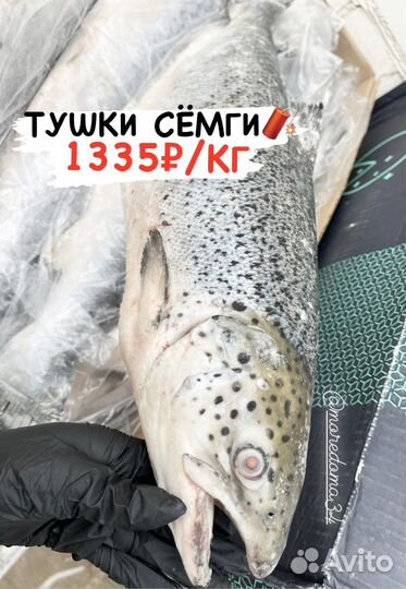 Красная рыба