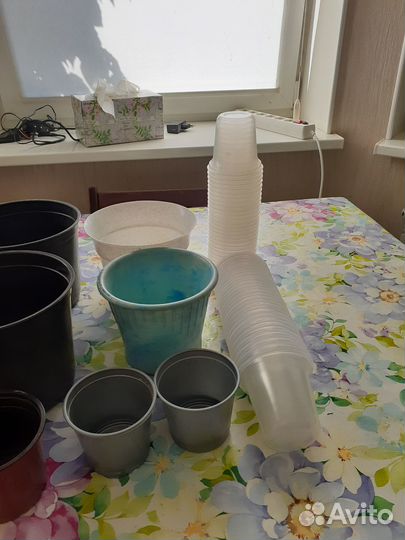 2 горшочка для цветов и 58 для рассады