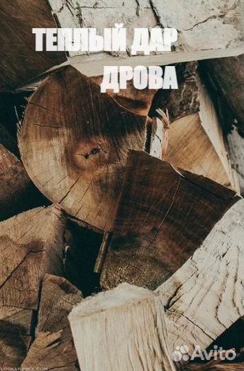 Дрова сухие