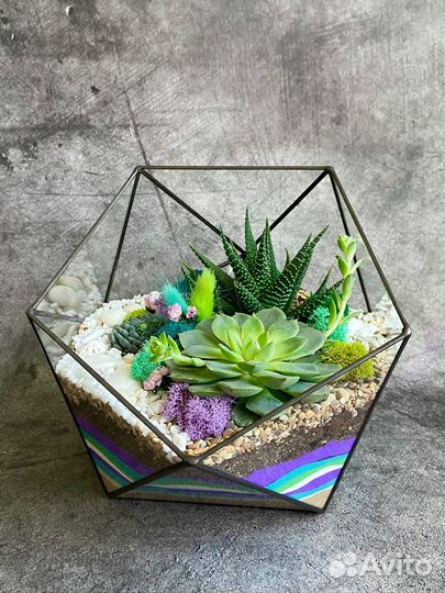 Флорариум бонсай подарок