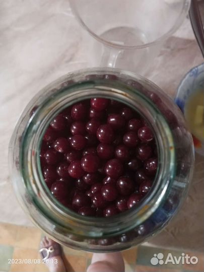 Саженцы вишни