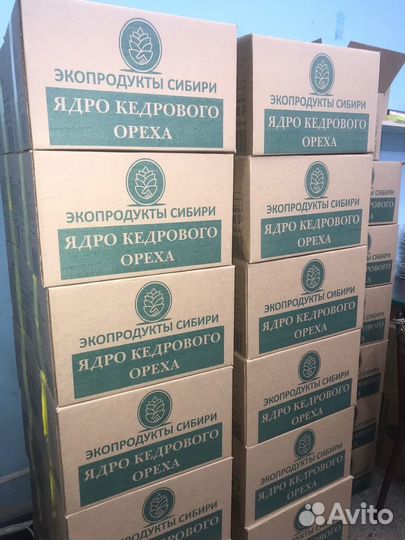 Кедровый орех очищенный