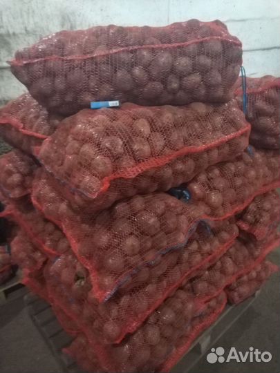 Продам картофель оптом