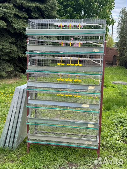 Продаю клетки для перепелов