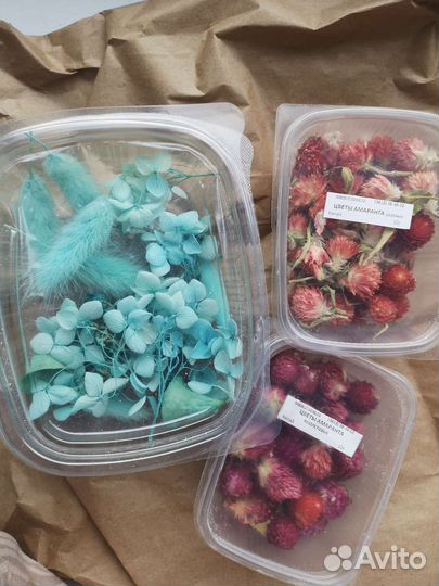 Сухоцветы для свечей, творчества