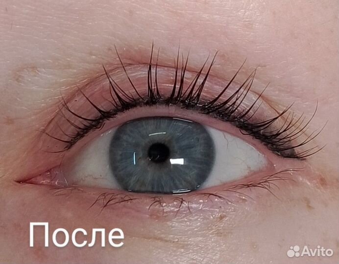 Бровки и реснички