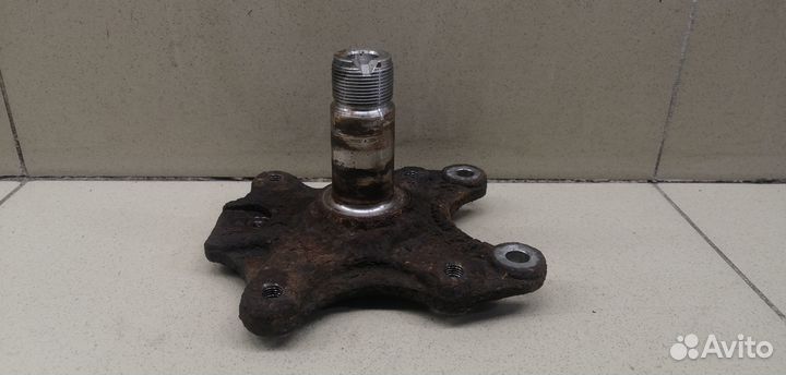 Цапфа (п.з.к.) C4 II 2011