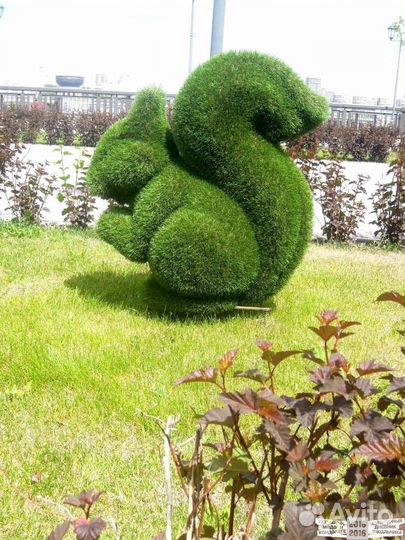 Топиарные фигуры