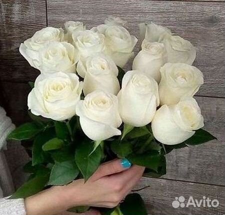 Розы Высокие 150см 160см 170см 180см 190см 2м