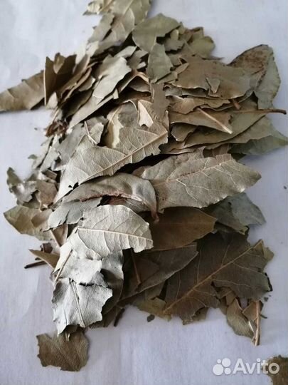 Лавровый лист цельный 2 сорт Грузия