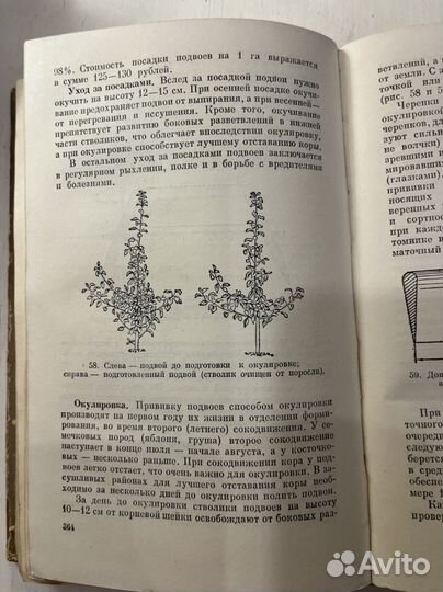 Фетисов Г.Г. «Основы Плодоводства»