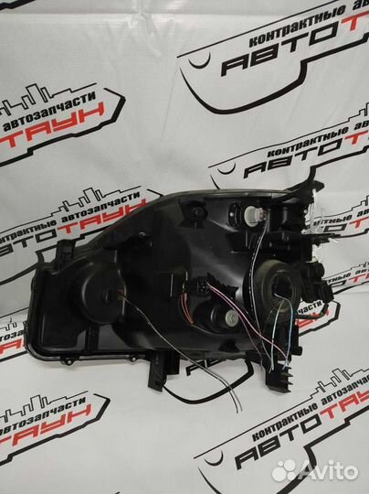Фара nissan X-trail DNT31 NT31 T31 TNT31 1785 гало
