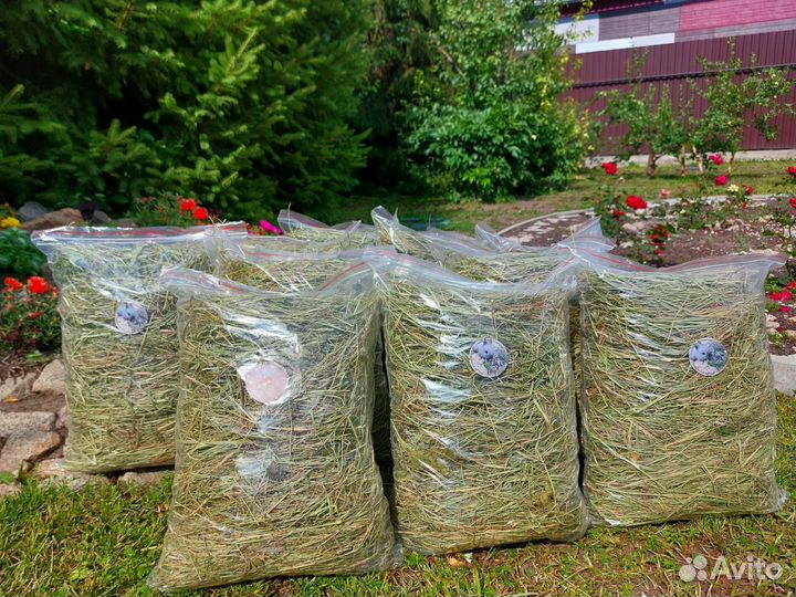 Сено луговое