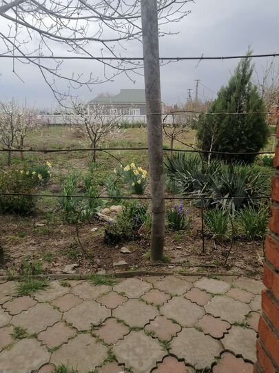 Дом 49,8 м² на участке 15 сот.